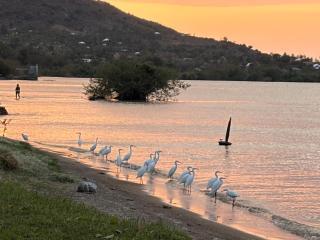 Wayando Beach Eco Lodge - 2