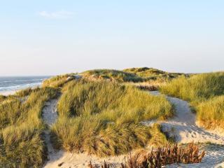 6 person holiday home in Hvide Sande-By Traum - 7