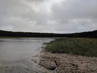 6 person holiday home in Ulfborg - 1