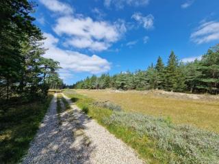 Spacious Retreat with View - 6