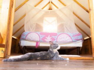Camping I'te fare - 9