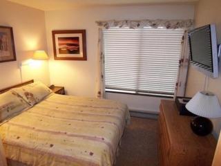 1 Bedroom Premium Condos - 8