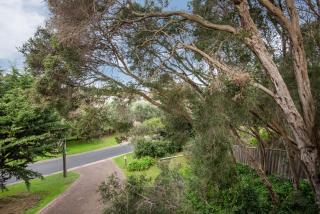 Caxton and Co. Blairgowrie - 5