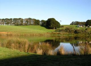 Ardenmore Farm Stay - 9