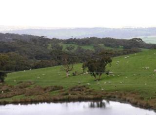 Ardenmore Farm Stay - 2