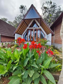 Prima Eco Cabin Lovina-Valley view near Aling Aling Waterfall - Buleleng - 6