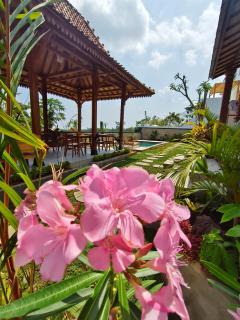Prima Eco Cabin Lovina-Valley view near Aling Aling Waterfall - Buleleng - 9