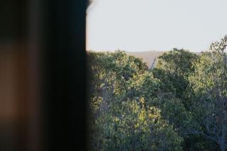Palmiera Escape - Luxury, laid-back holiday home in Margaret River - Margaret River - 9