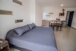 Loft King con Balcon en Apodaca - Planta Alta - 7