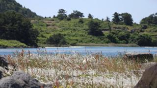 Hado fourseasons pension - 5
