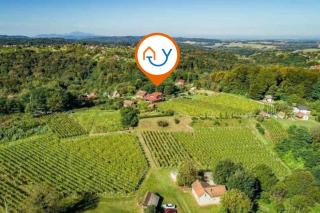 Vineyard Estate w/ Hot Tub Near Varaždin - Happy Rentals - Ludbreg - 9