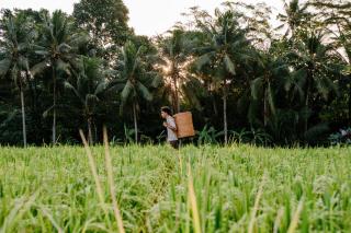MATHIS Retreat Ubud - 1