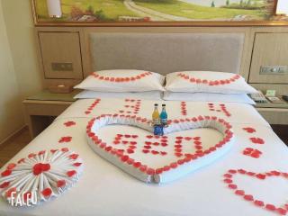 Vienna Hotel Chongqing Shizhu Stadium - 3
