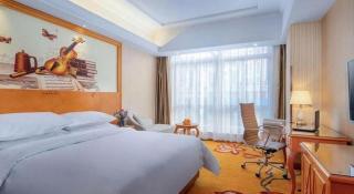 Vienna Hotel Shanghai Hongqiao National Exhibition Cente Sijing Metro Station - 8