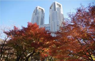 Higashi-Shinjuku 1010 - 3