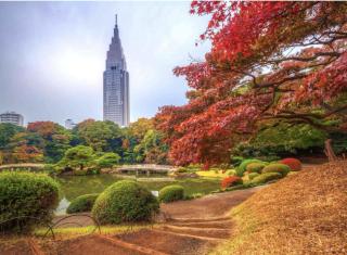 -Higashi-Shinjuku 1107- Within walking distance of Shinjuku Station! - 3