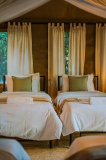 the Roost Tented Camp -  - 4
