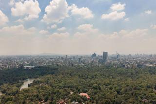 Park Hyatt Mexico City Polanco - 6
