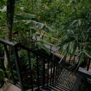 deep villa - 1