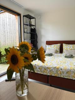 B&B de wilde hoek - Centrum - 7