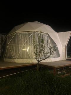 Aframe & Dome - 6