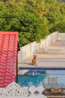 Vikramgarh Lakeview- A Royal Collection - 8