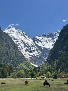Yubeng ZhiYu Healing Boutique Guesthouse - 2