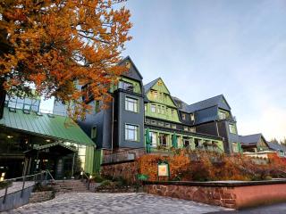 BERG & SPA HOTEL GABELBACH - Ilmenau - 0