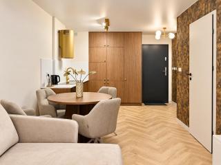 Łódź Apartamenty Premium Agosto II Centrum -Parking, FV, Śródmieście, Piotrkowska, Manekin - 7