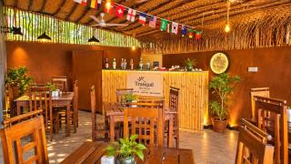 Tranquil Sanctuary Yala - 4