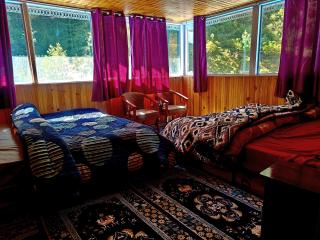 Gadagusain 360 Retreat & riverside homstay - 9
