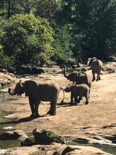 Bua River Lodge - 7