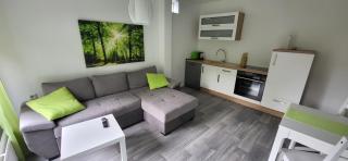 Ferienwohnung Grüne Wiese - 1