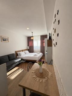 Bakuriani- Tribu Apart Hotel N 201 - 7