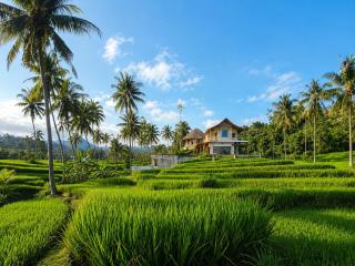OMantra Home Bali - 8