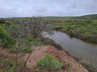 Lapa cottage - 1