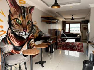Lola backpackers hostel - 7