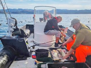 6 person holiday home in Jarfjord - 7