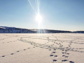 6 person holiday home in Jarfjord - 1