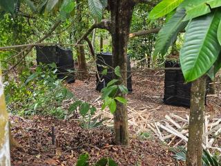 Ranjan home stay - 3