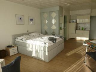 Haus Delphin - Bad Wildungen - 0