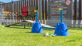 gapyeong beilli pet pool villa pension - 7
