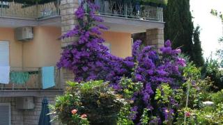 Villa Bencun - Medulin - 2