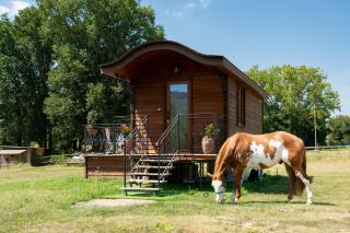 B&B La Cavana - 0