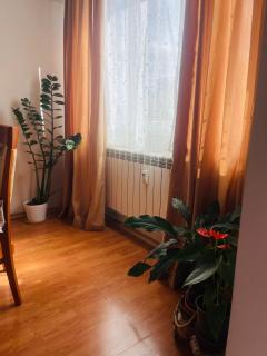 Rhea Apartment with Parking - 1