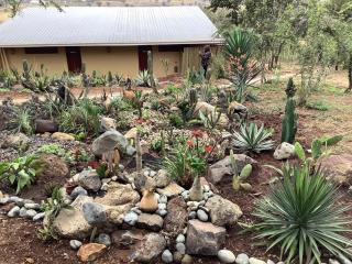 Arusha Eco Lodge - 9