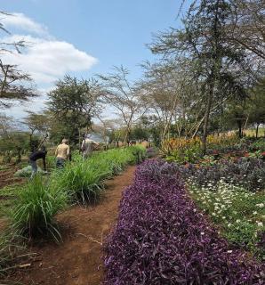 Arusha Eco Lodge - 5