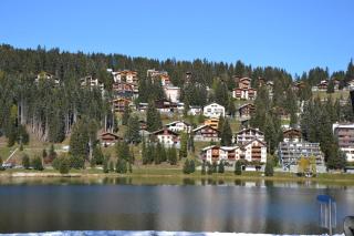 Bisang P - 6
