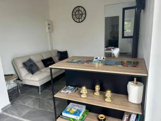 Appartement Le Moule 30 m² avec jardin - 4