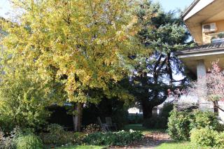 Il Giardino - 9